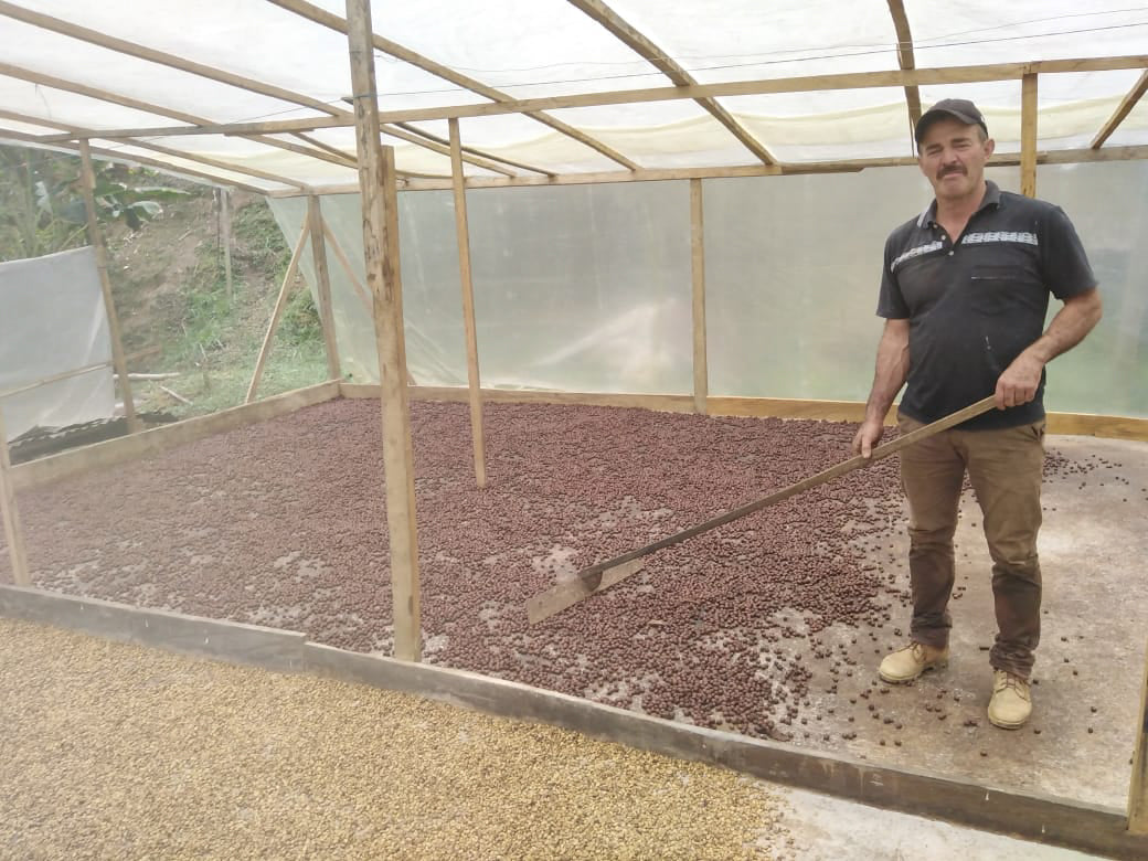 Ancestral | Single Origin Colombian Coffee
