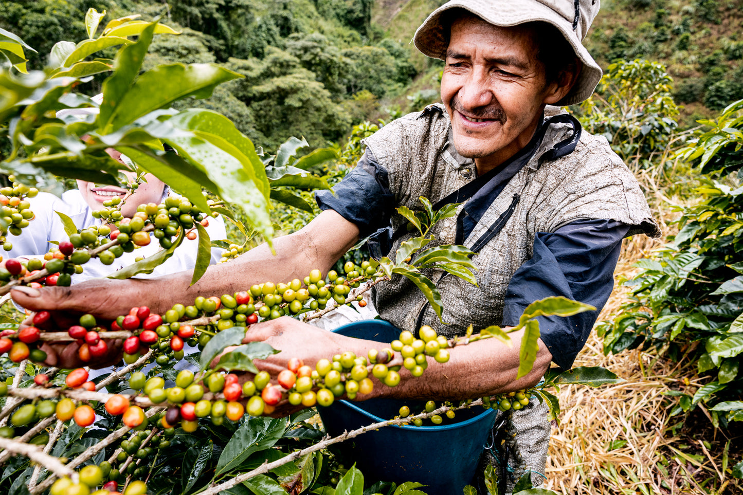 Ancestral | Single Origin Colombian Coffee